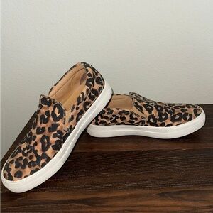 Steve Madden Sneakers